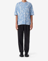 AYLINO image number null