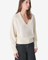 LAVINA image number null