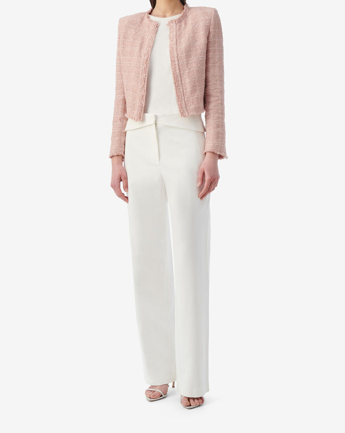 ZAMIA image number null