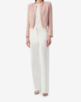 ZAMIA image number null