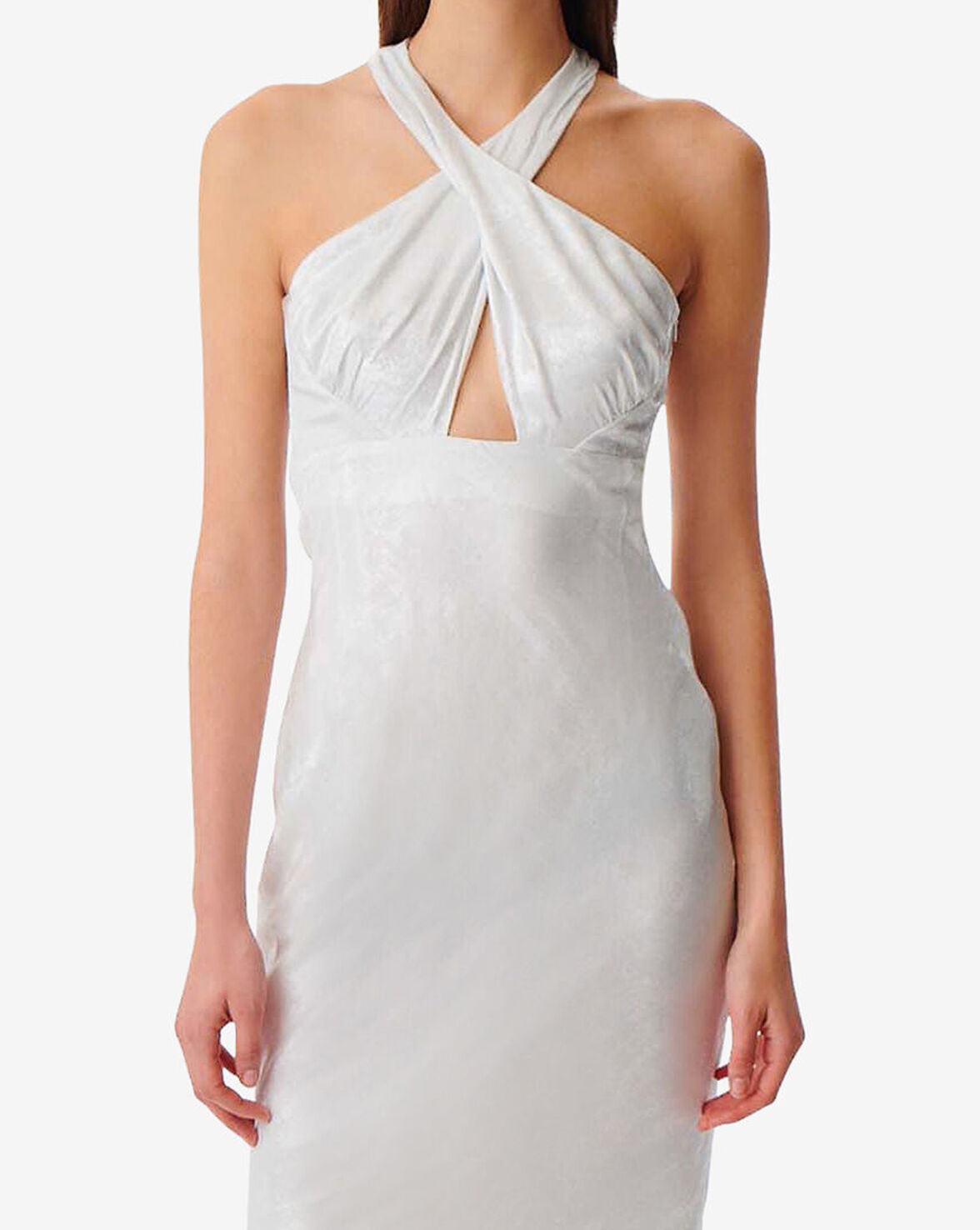 CALVINO image number null