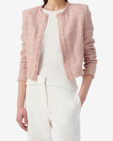 ZAMIA image number null