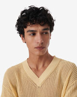 APOLIN image number null