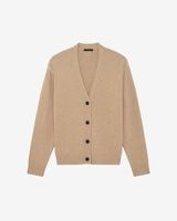 BRICE image number null