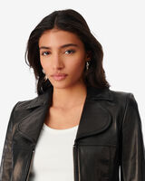 OFELIA image number null