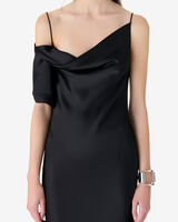 THIANA image number null