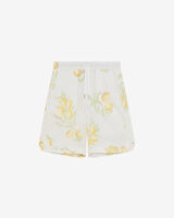 VERONE image number null