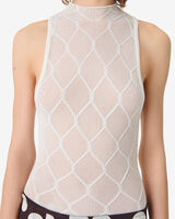 DELICE image number null