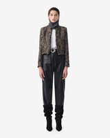 CARLIA image number null
