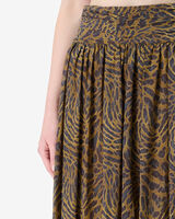 CALESA image number null
