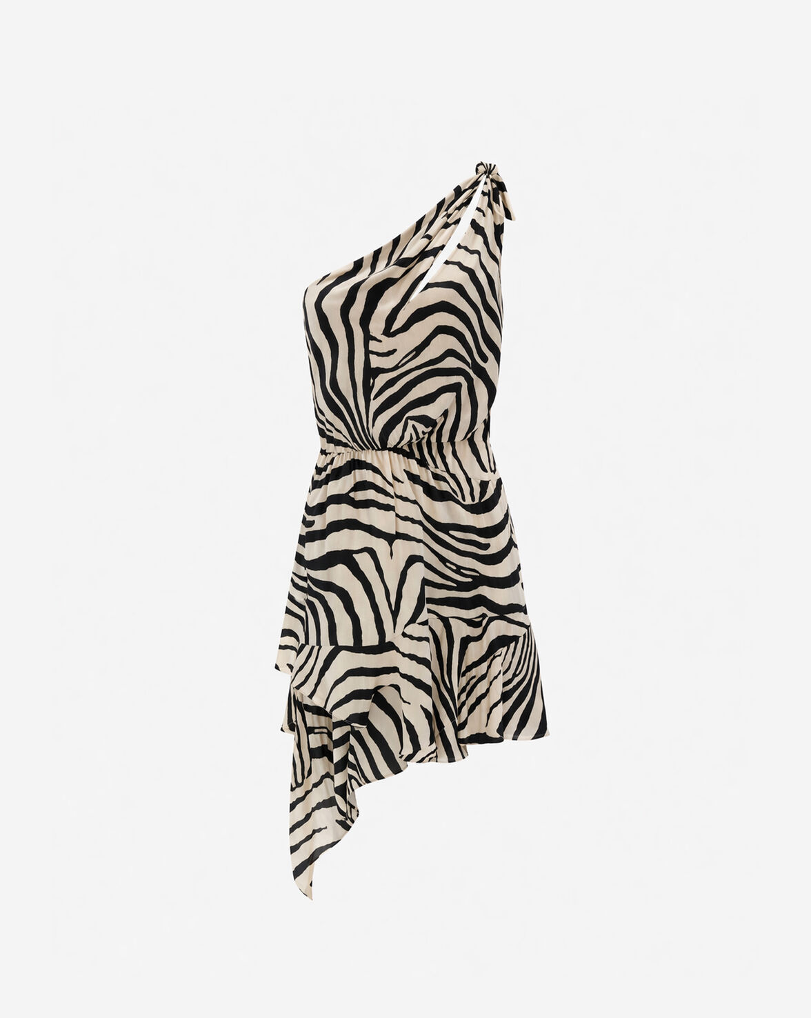 INASSA image number null