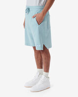 DANY image number null