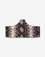 LANNY PYTHON image number null