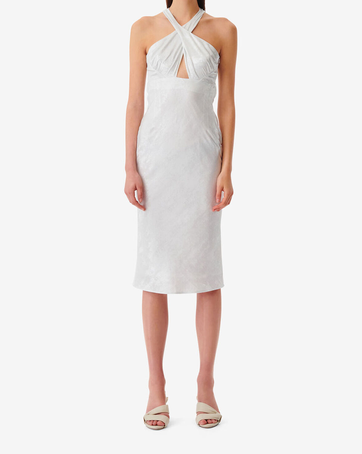 CALVINO image number null