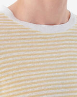RAJA image number null