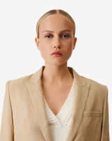 DANYS image number null
