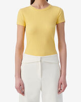 ELONIA image number null