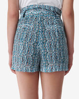 RASINE image number null