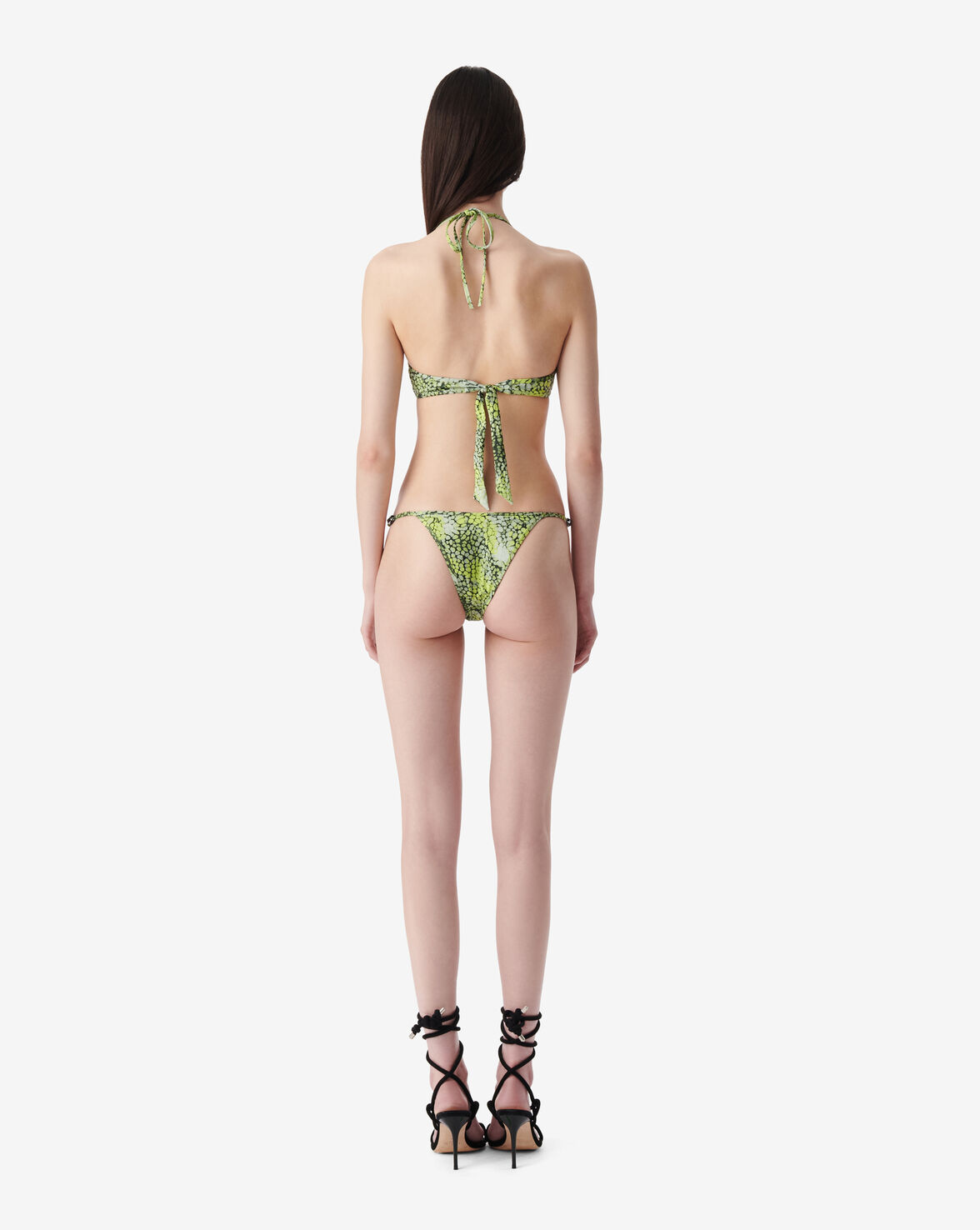LUCON image number null