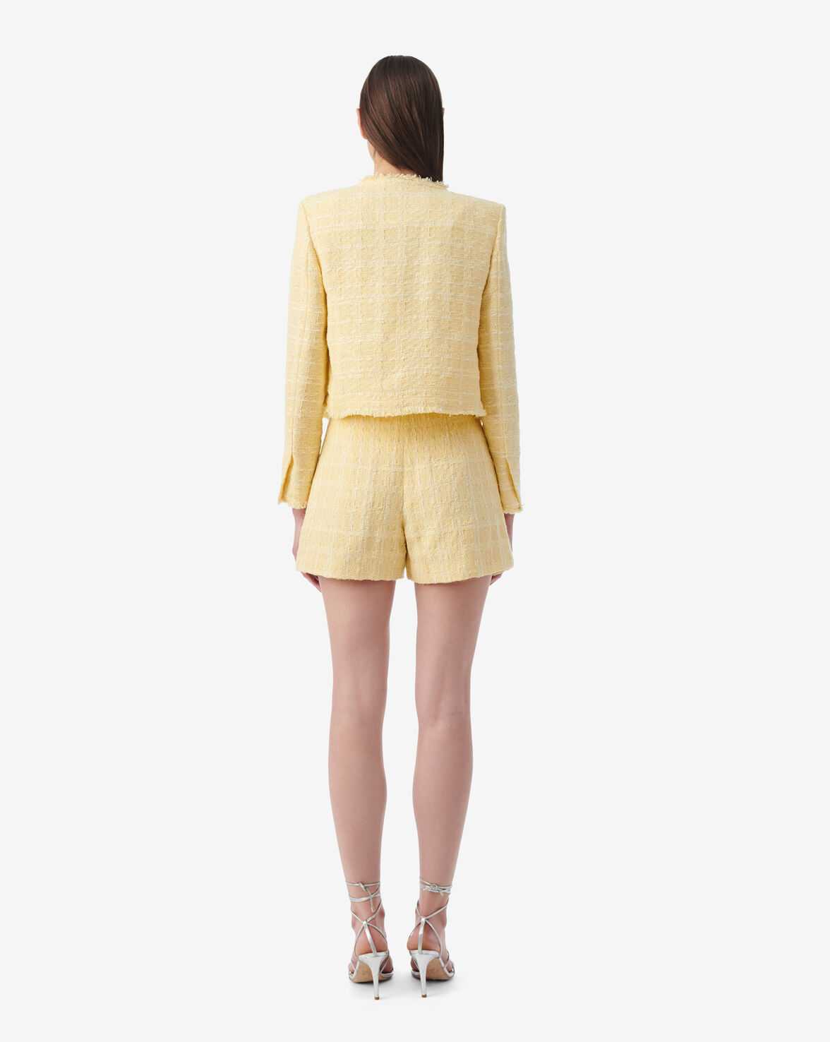 ZAMIA image number null