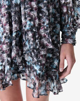 RISLI image number null
