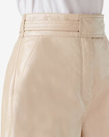 BRIX image number null