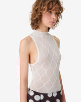 DELICE image number null
