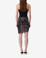 DASIA image number null
