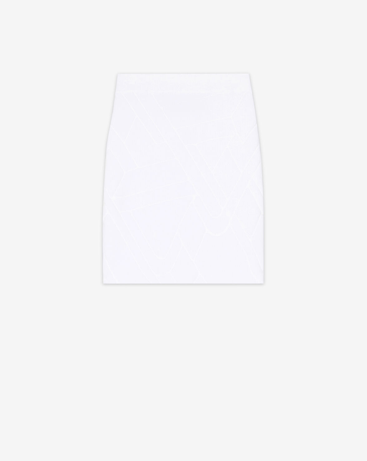 FLAGA image number null
