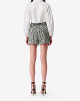 ABRAMI image number null