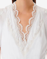 LINNEAS image number null