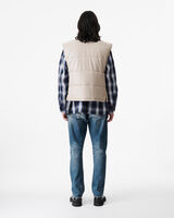 INRA image number null