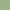 ALMOND GREEN