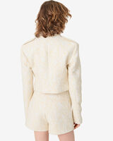 DELLIA image number null