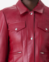 CHILOE image number null