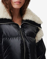 BELINE image number null