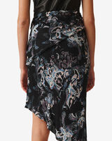 CARTINA image number null