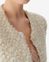 SANEA image number null