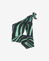 CLARISSA image number null