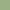 ALMOND GREEN