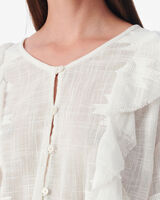 ARLIZE image number null