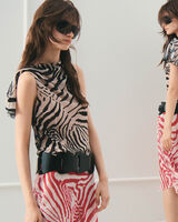 TAHICE image number null