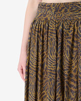 CALESA image number null