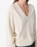 LAVINA image number null