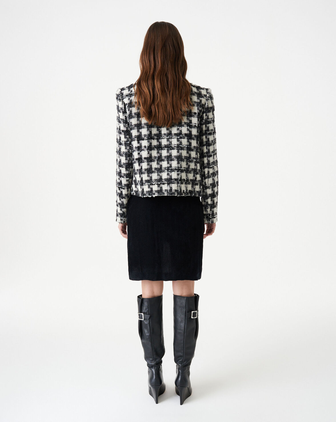 PELIPA image number null