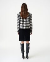 PELIPA image number null