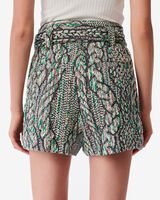 ABRAMI image number null