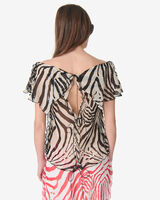 TAHICE image number null