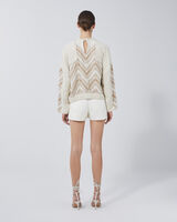 ALISSE image number null