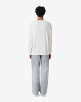 MILAE image number null